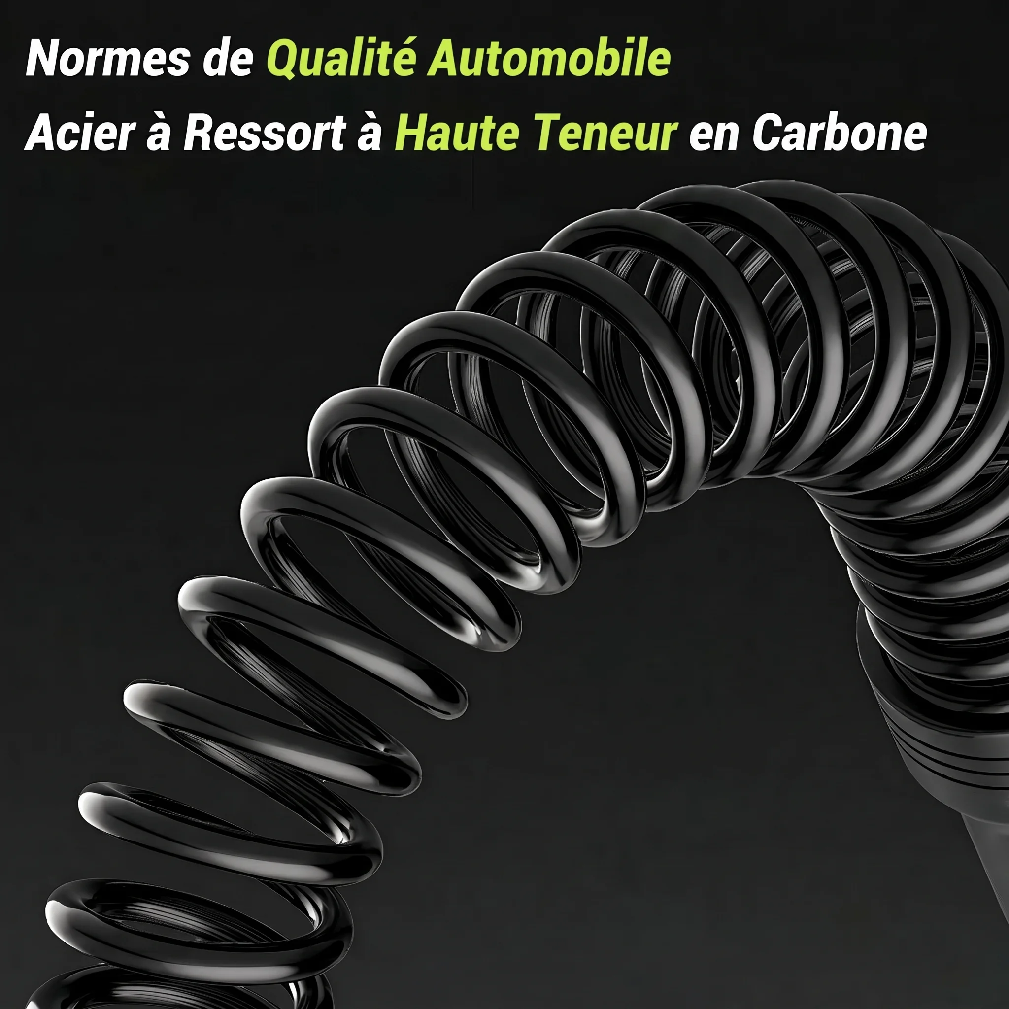 Zevlo Battle Rope Sans Corde